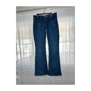 Slim Flare Legged Express Jeans